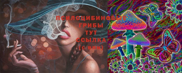 ешки Зеленокумск
