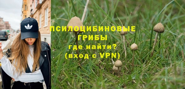 мдпв Зеленодольск
